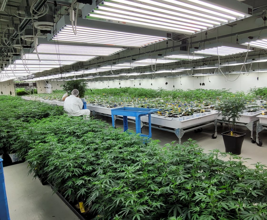 Garden Remedies in Fitchburg, MA. Reception Area, designed by Hardaway Sziabowski Architects.