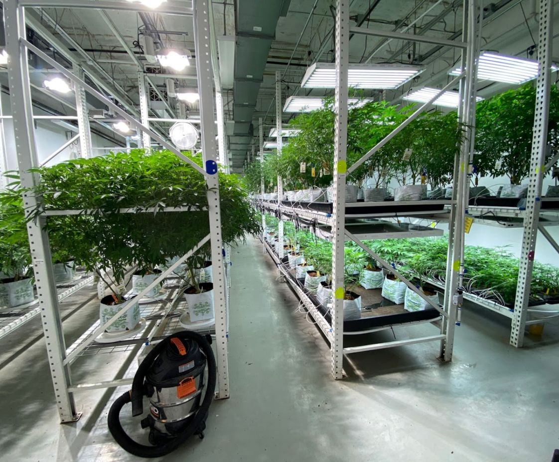 Garden Remedies in Fitchburg, MA. Reception Area, designed by Hardaway Sziabowski Architects.