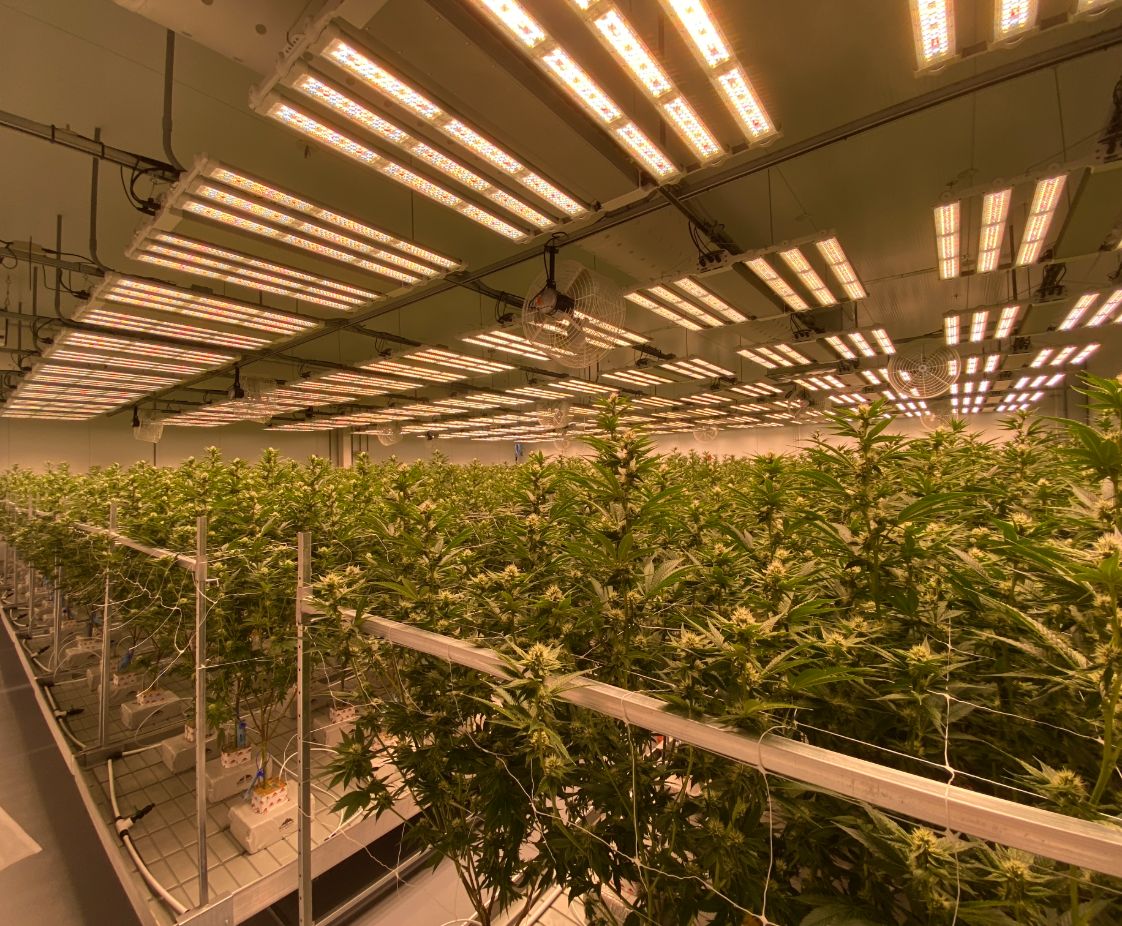 Top Shelf Cannaseurs in Uxbridge, MA. Reception Area, designed by Hardaway Sziabowski Architects.