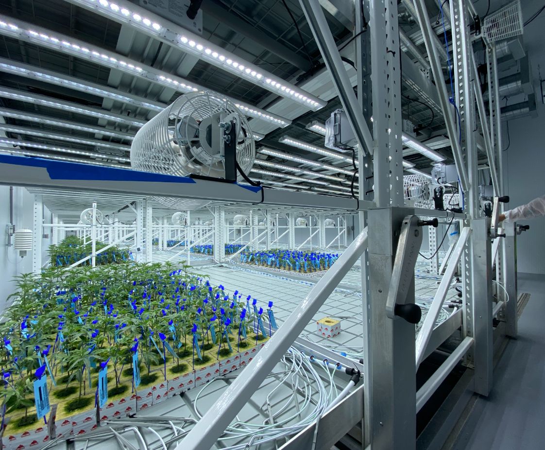 Top Shelf Cannaseurs in Uxbridge, MA. Reception Area, designed by Hardaway Sziabowski Architects.