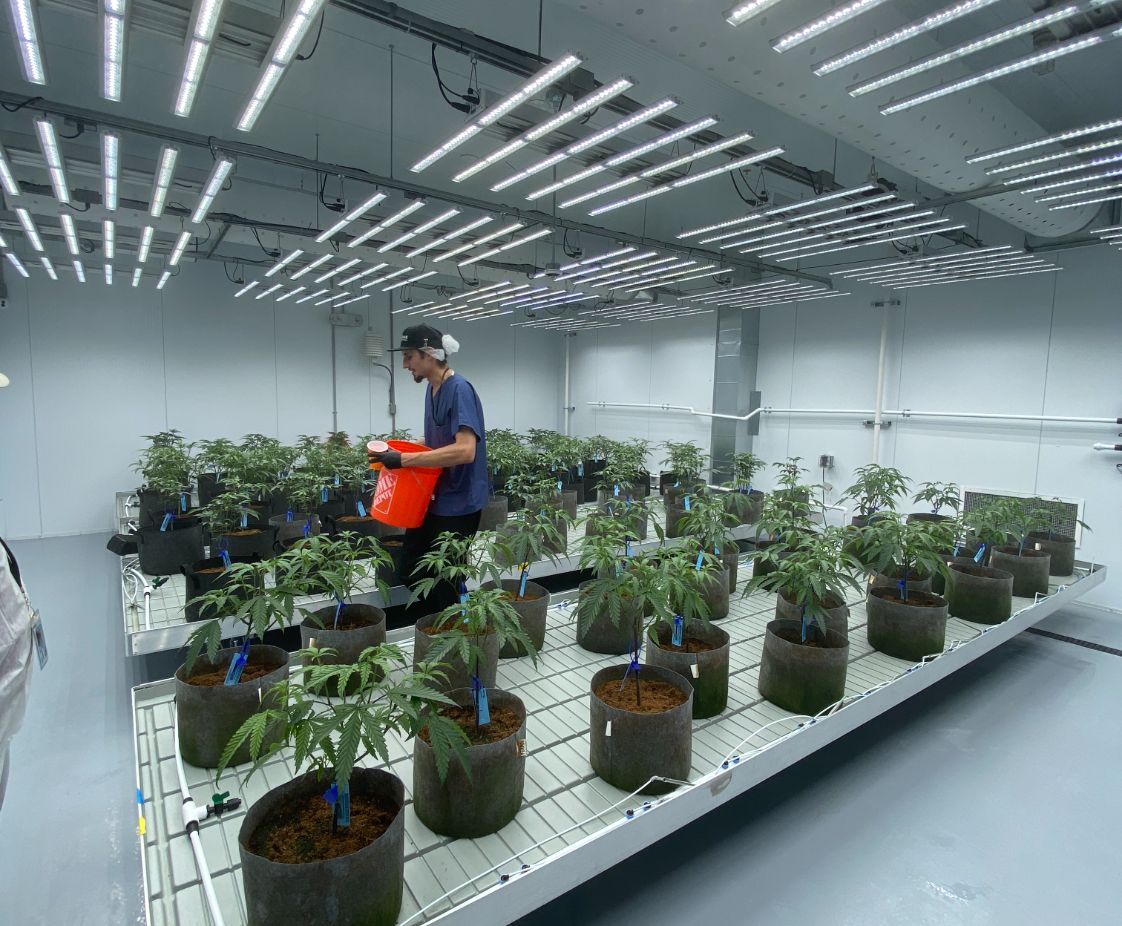 Top Shelf Cannaseurs in Uxbridge, MA. Reception Area, designed by Hardaway Sziabowski Architects.