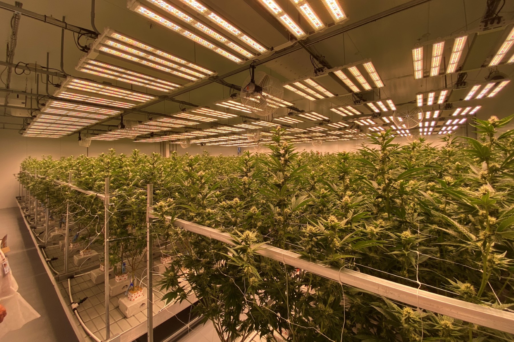 Top Shelf Cannaseurs in Uxbridge, MA. Reception Area, designed by Hardaway Sziabowski Architects.